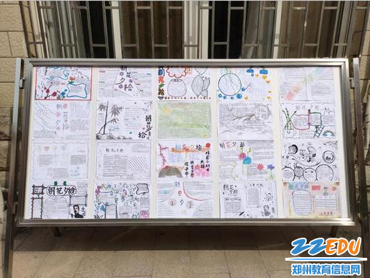 优秀手抄板作品展示