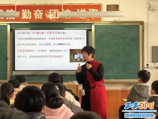 3 于首洋老师的七年级语文课《猫》情感细腻，触动心灵