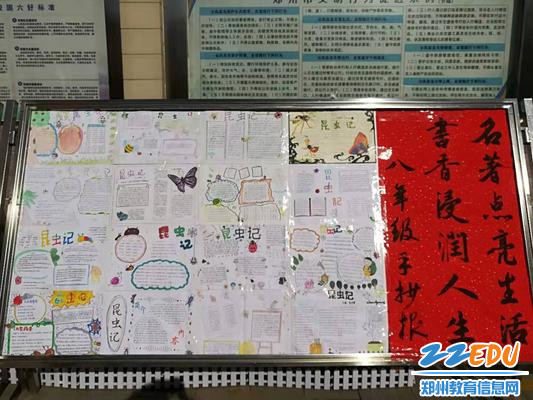 学生优秀作品展示