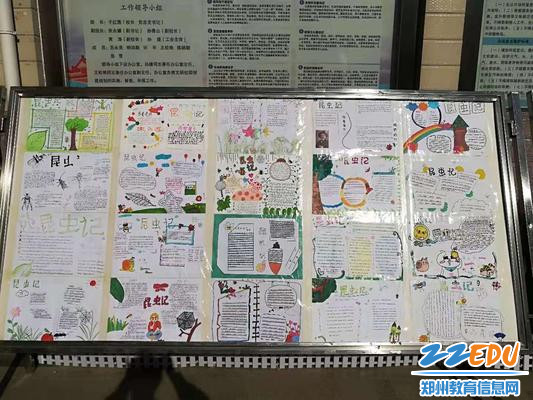 优秀手抄报作品展示