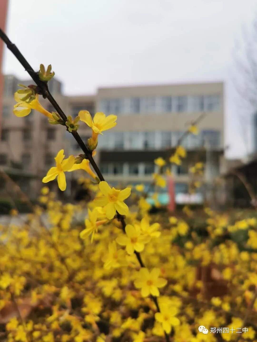 微信图片_20200310114330.jpg