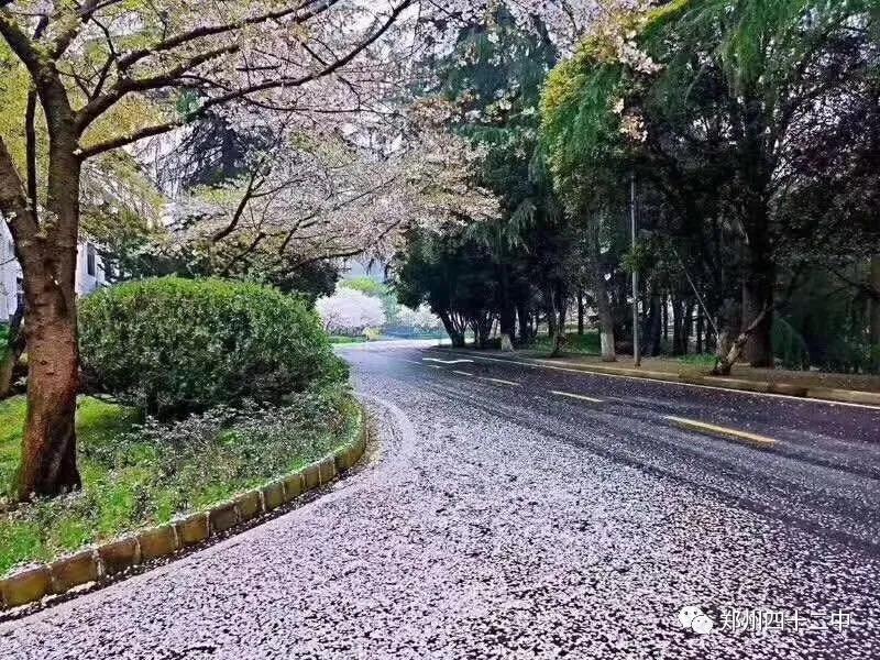 微信图片_20200326172510.jpg