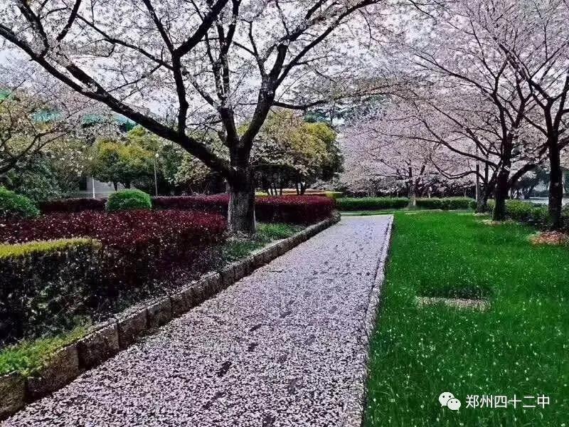 微信图片_20200327133600.jpg
